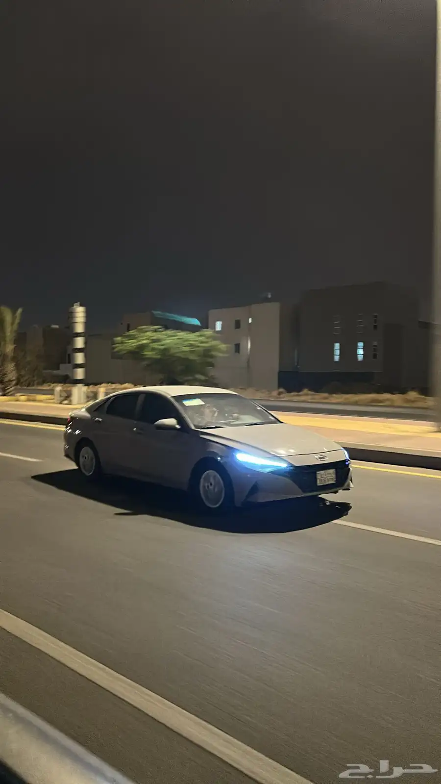 للبيع جنوط صيني 2