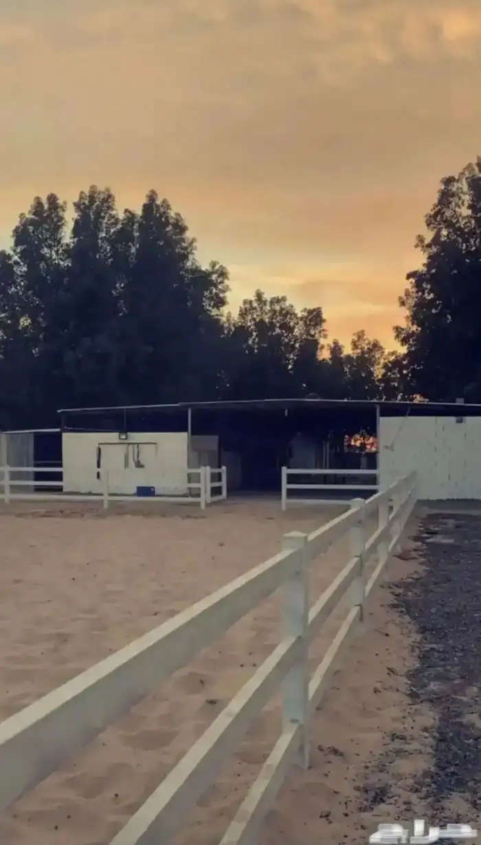 ايواء خيل شهري بوايك بمراوح 0