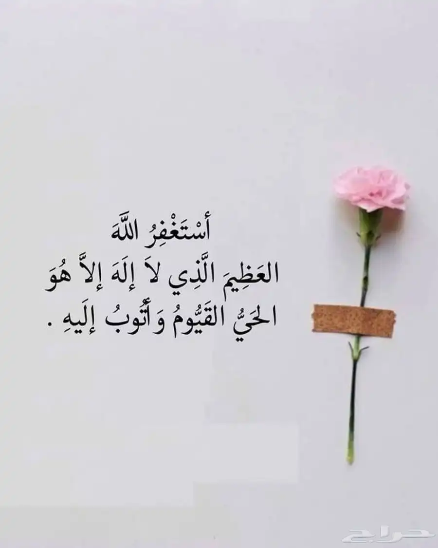 مطلوب شقة غرفة وصالة في المروج او المصيف 0