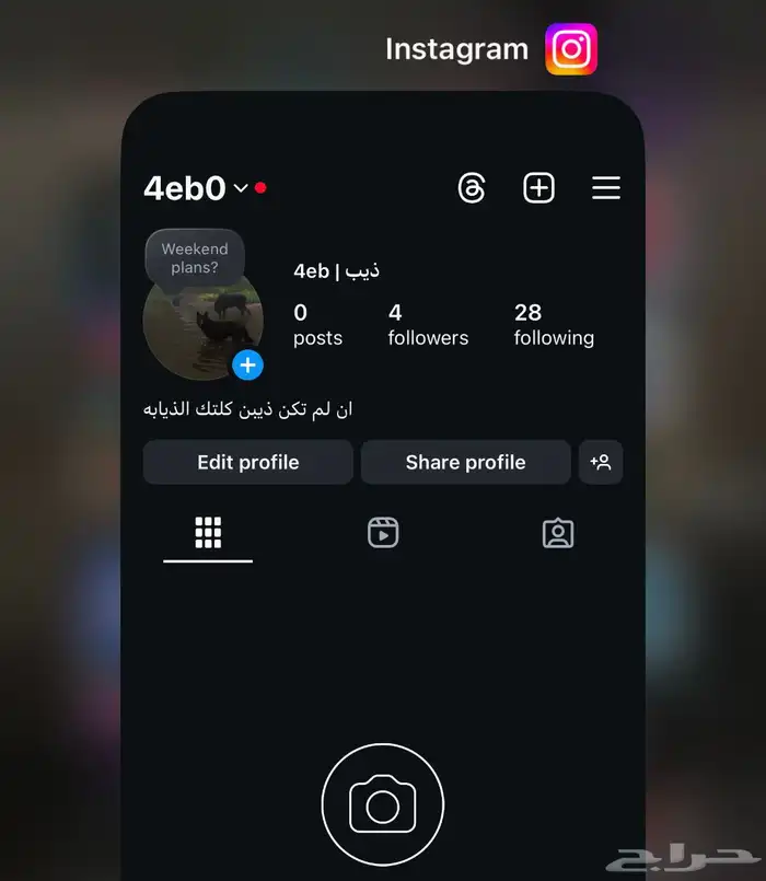 يوزر انستا رباعي معنى ذيب 0