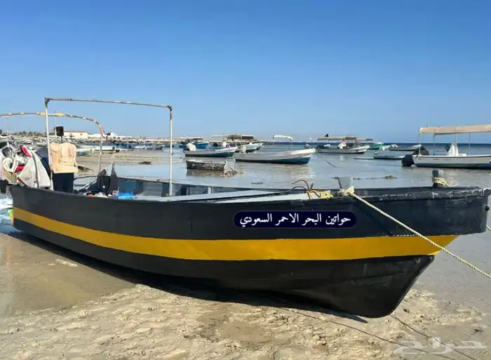 للبيع قارب (صيد حرفي) ياماها 2 استروك 75 ياماها 23 قدم 2