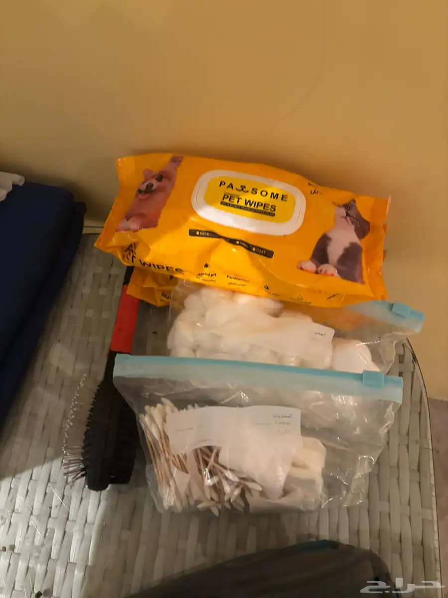 Five Healthy  Trained Cats Full set of supplies-Urgent Sale 8