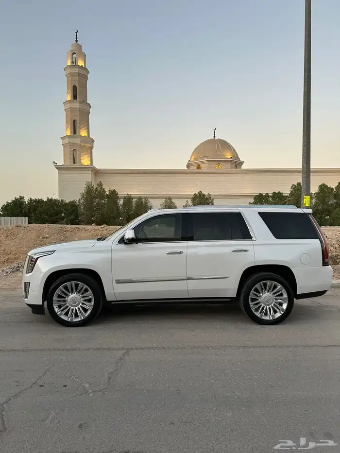 كاديلاك اسكاليد_عداد قليل مالك أول_بلاتينيوم فل اوبشن_قصير 4