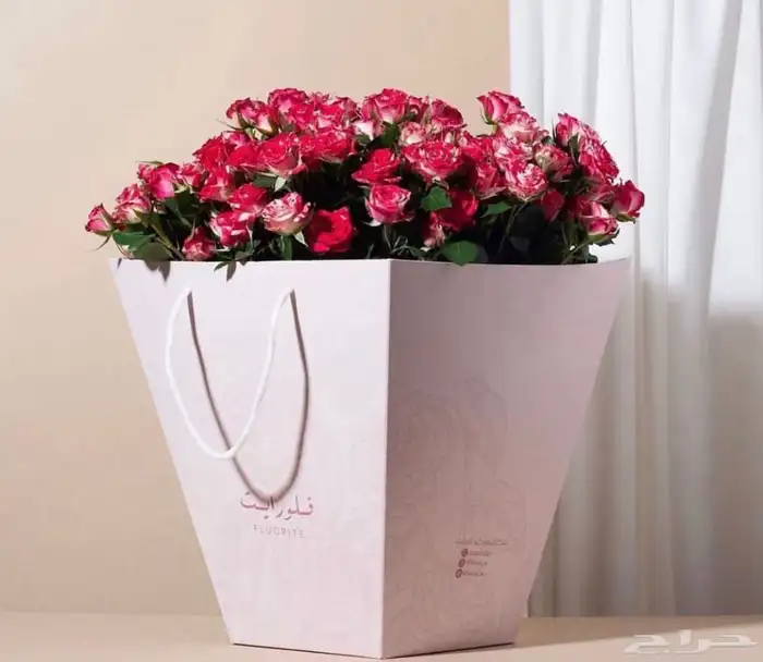 طباعة أكياس بوكسات كروت 15