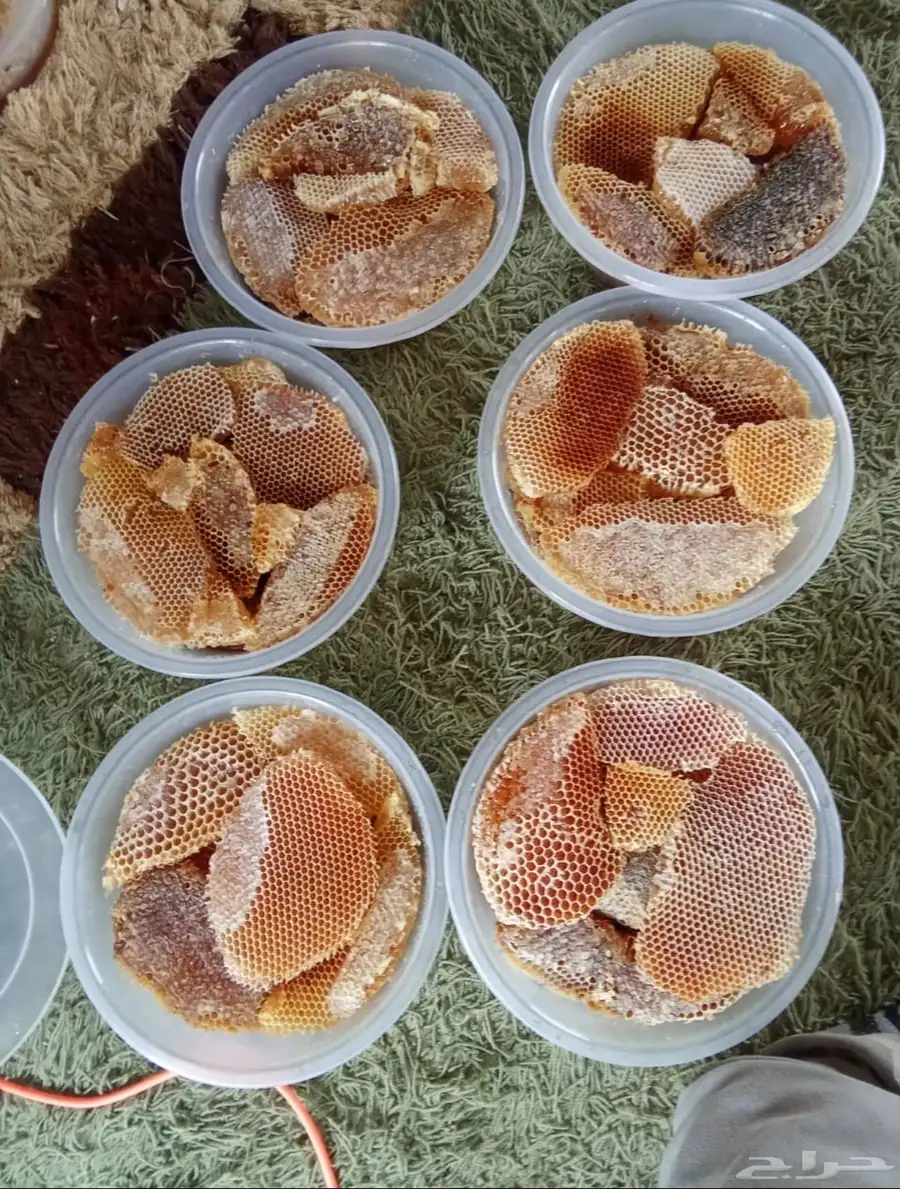 عسل طلح الجنوب 3
