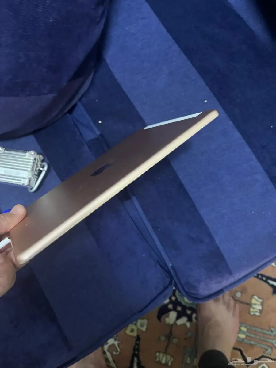ابل الخامس 3