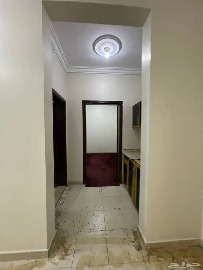 شقة عزاب للإيجار 0