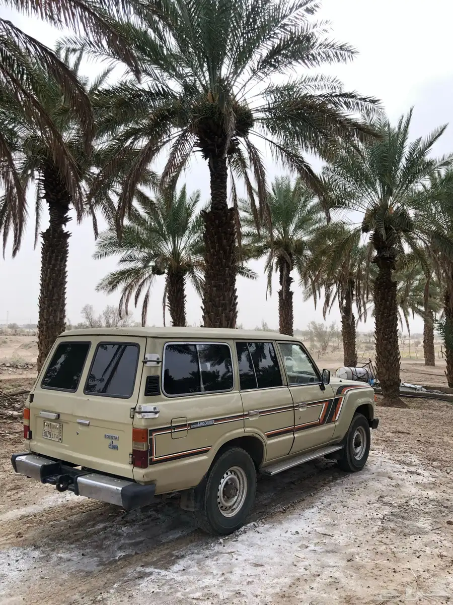 صالون لاند كروزر 85 1