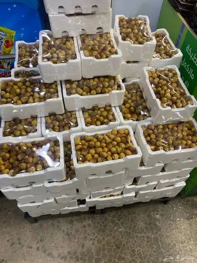 تمر روثانن فاخر ب25 0
