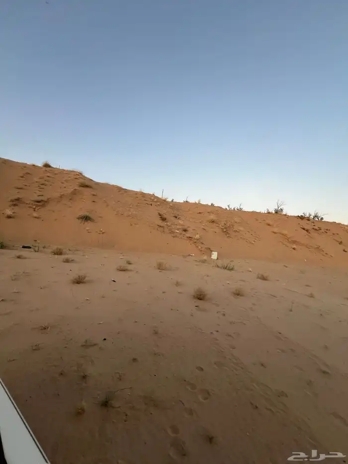 للايجار ارض 4576م حي الرمال 5