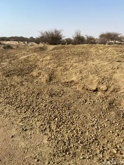 سماد للبيع 0