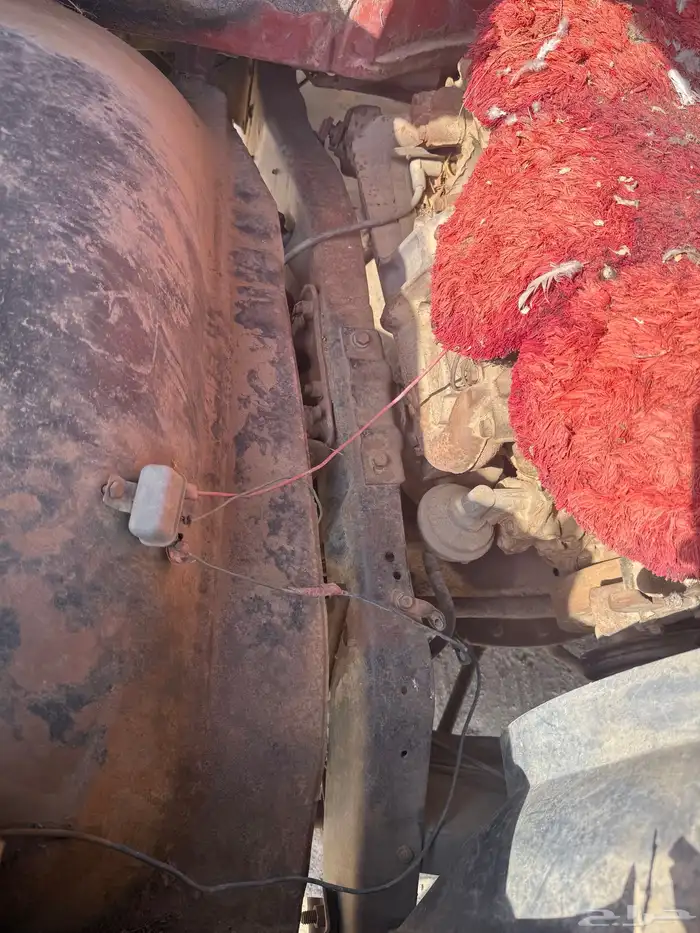 جمس حوض بدون اوراق 8