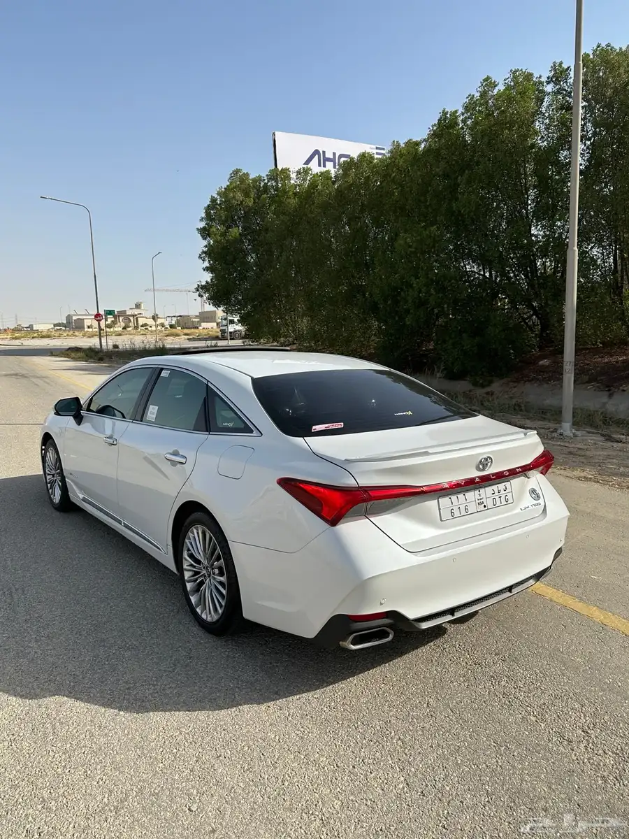 افالون ليمتد 2019 6