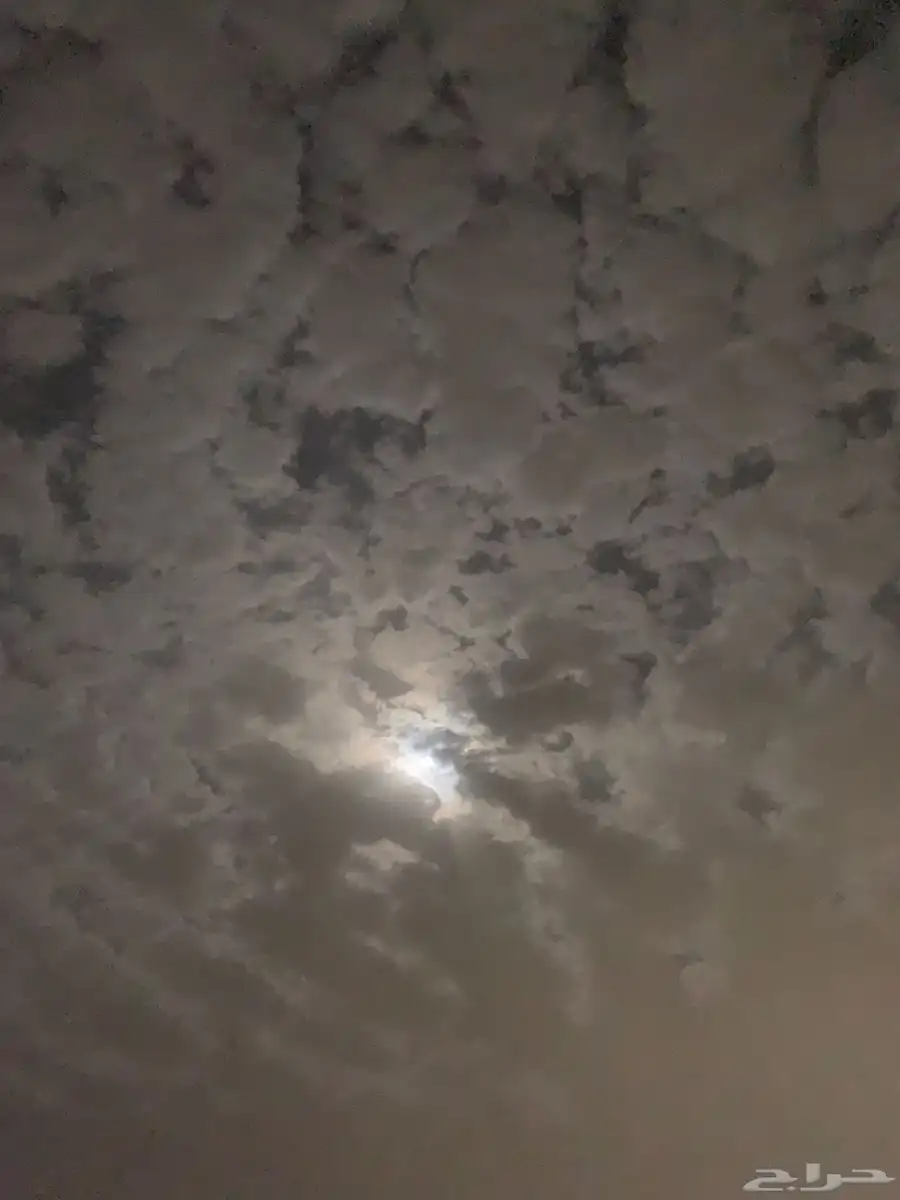 ضان 30 بفحلها 0