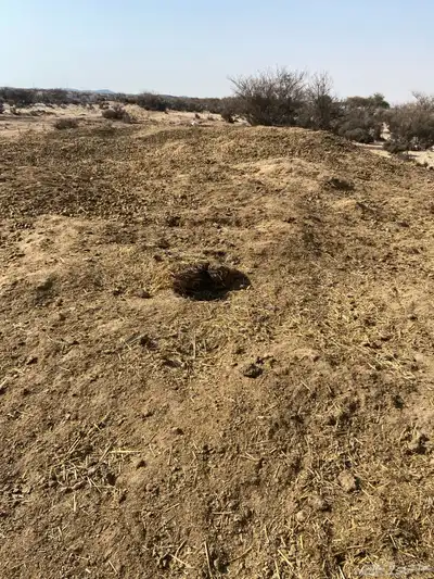 سماد للبيع 1