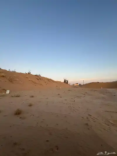 للايجار ارض 4576م حي الرمال 0