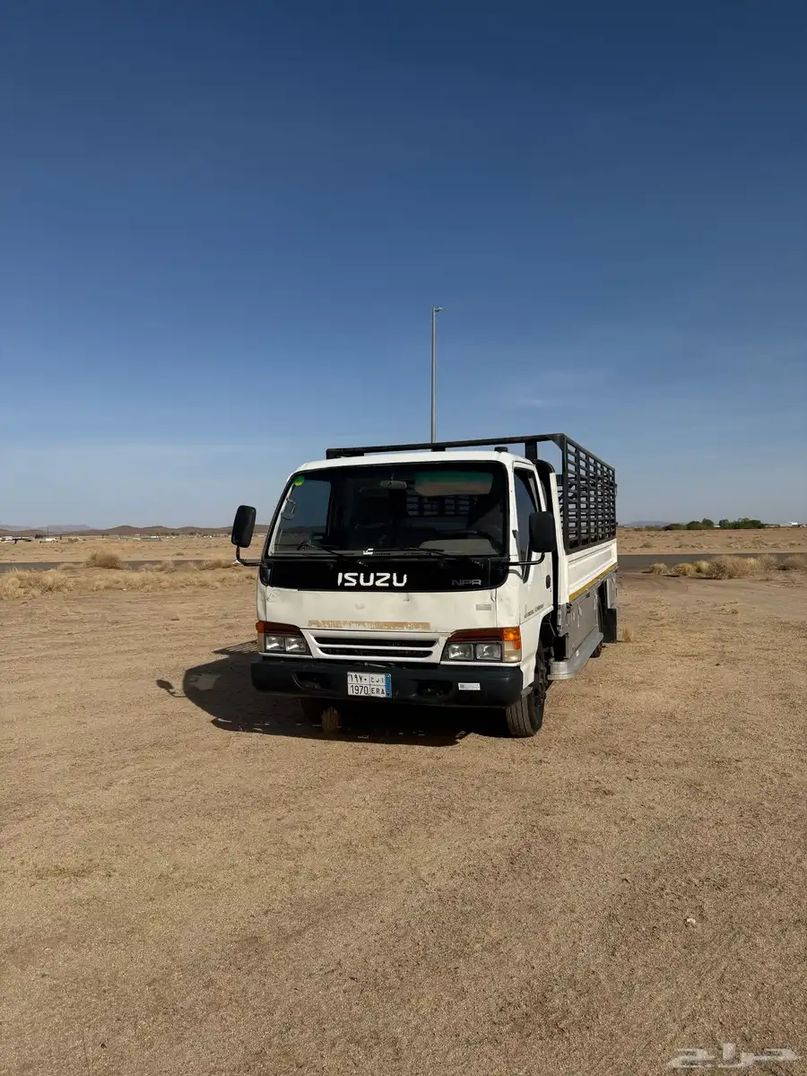 دينا 95 8