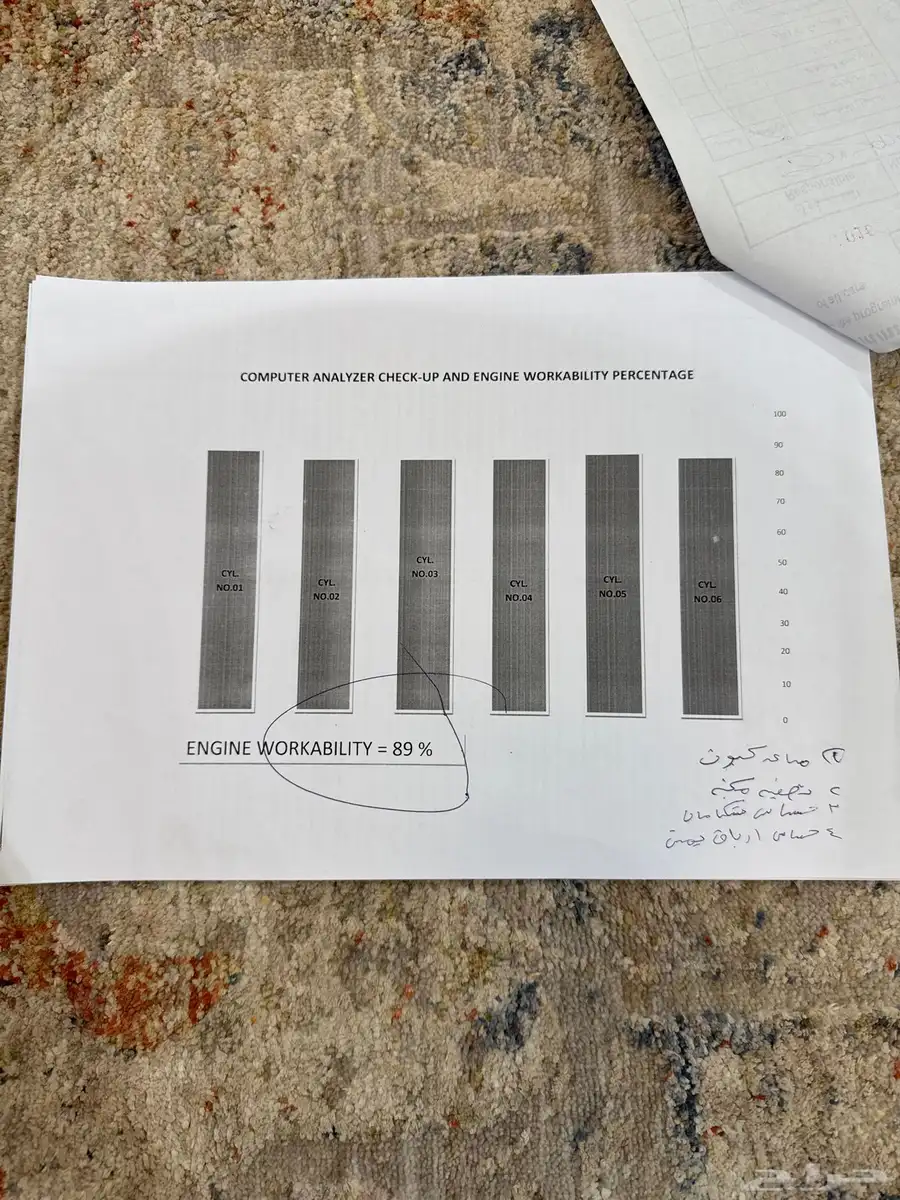 تورس 2017 13