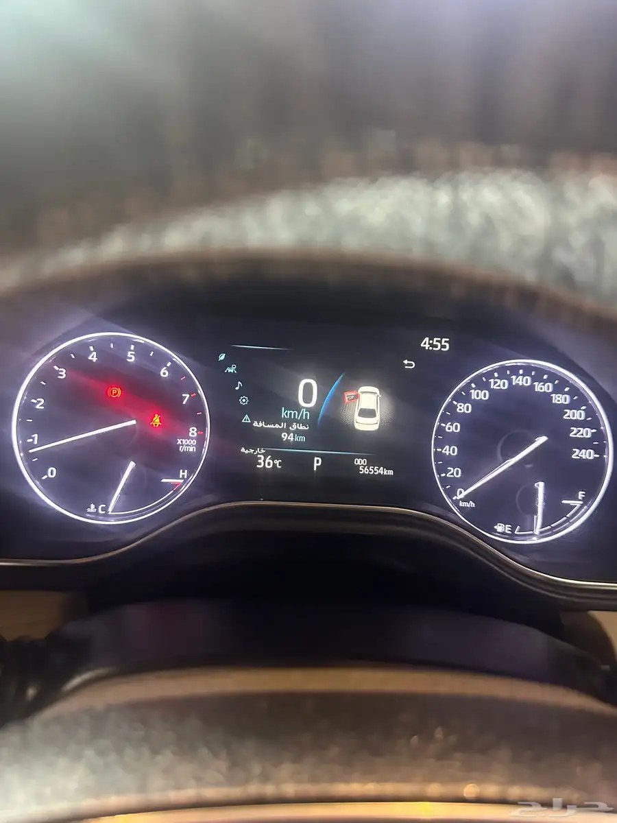 افلون 2021 12