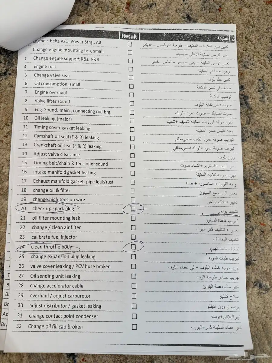 تورس 2017 14