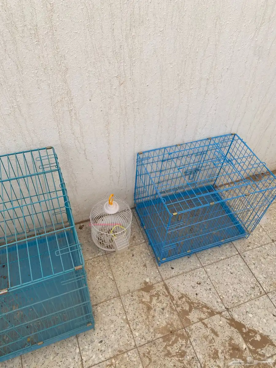 قفص شبك أقفاص 1