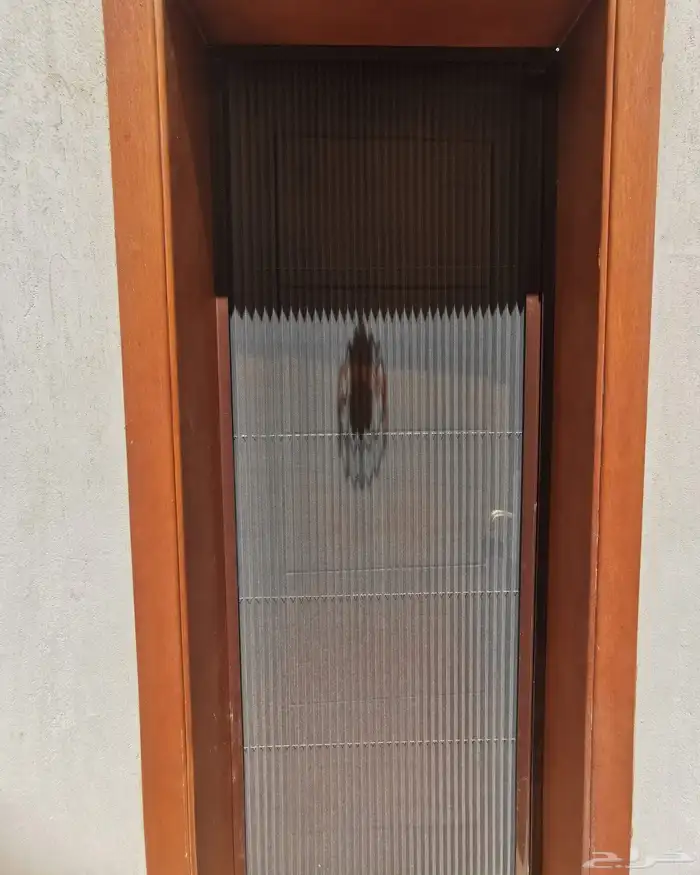 شبك ناموس سحاب للشبابيك والابواب -الحشرات والناموس 4