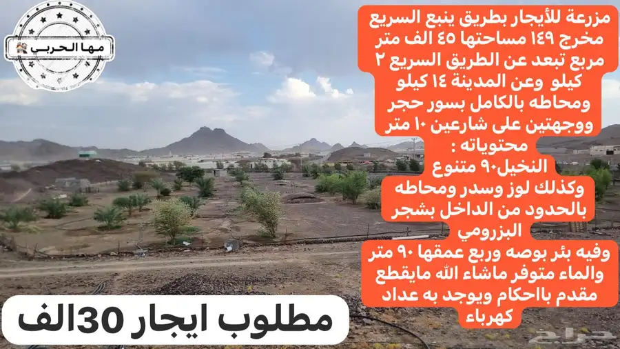 مزرعة للإيجار طريق ينبع ب30 الف 0