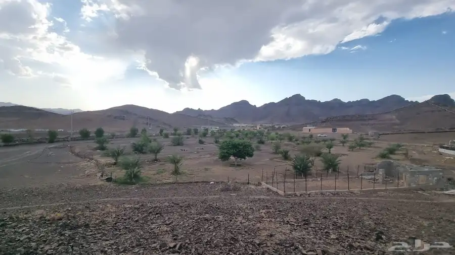 مزرعة للإيجار طريق ينبع ب30 الف 1