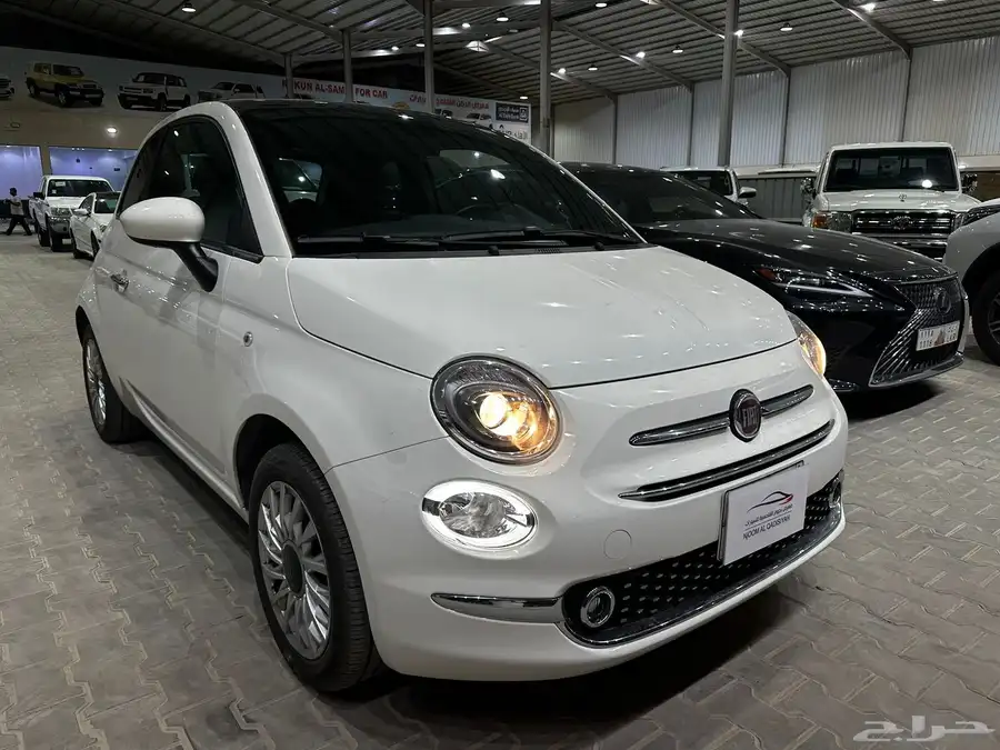فيات 500 - 2024 1