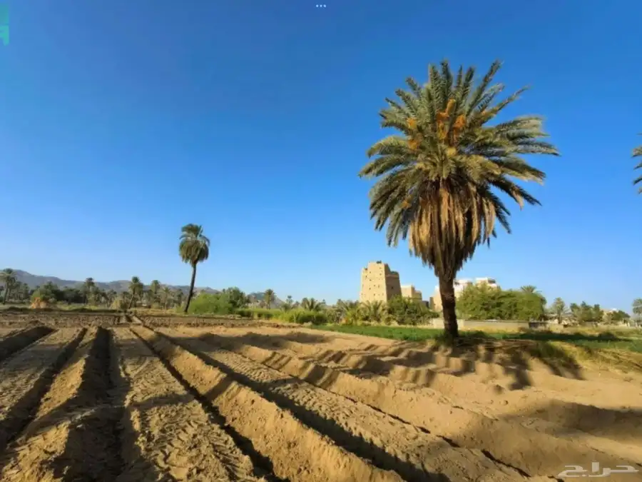 مطلوب مزرعه للايجار نجران 0