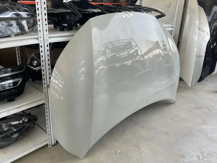 كبوت كيا EV6 2020-2025 أصلي وكالة 1