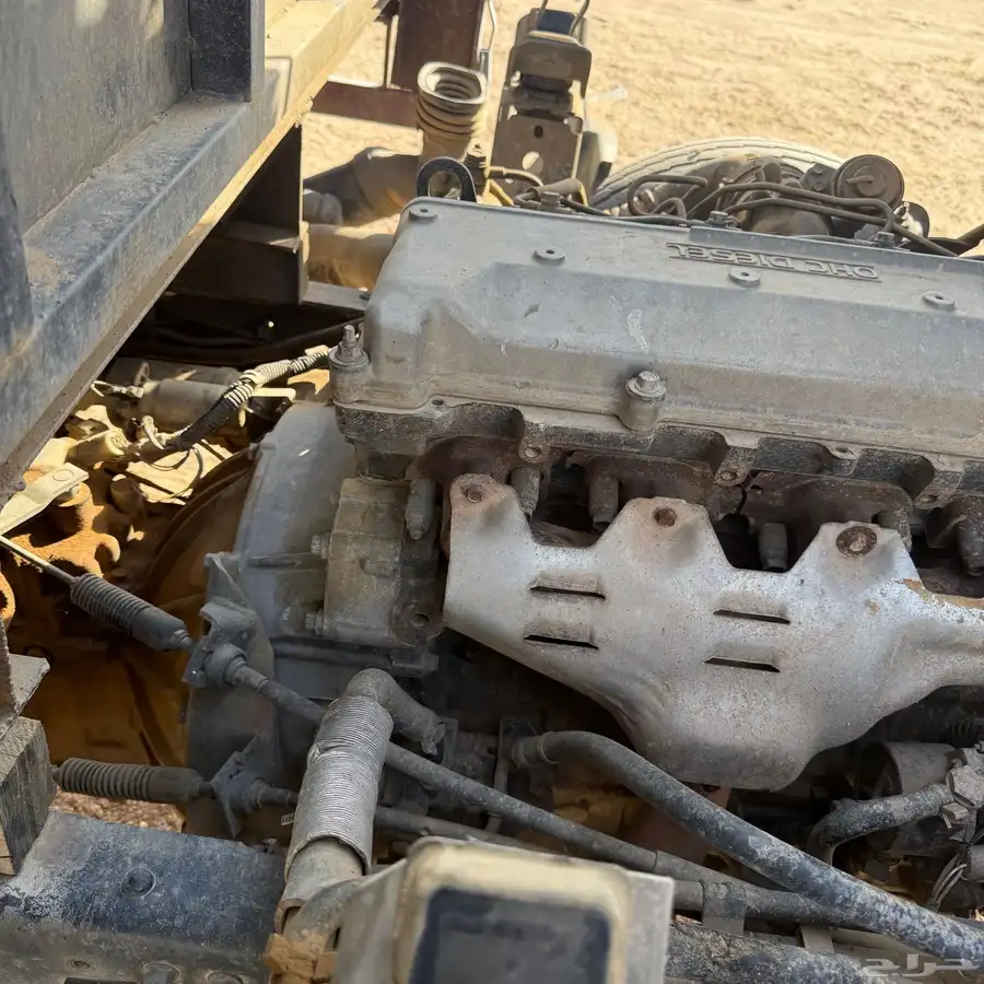 دينا 95 6