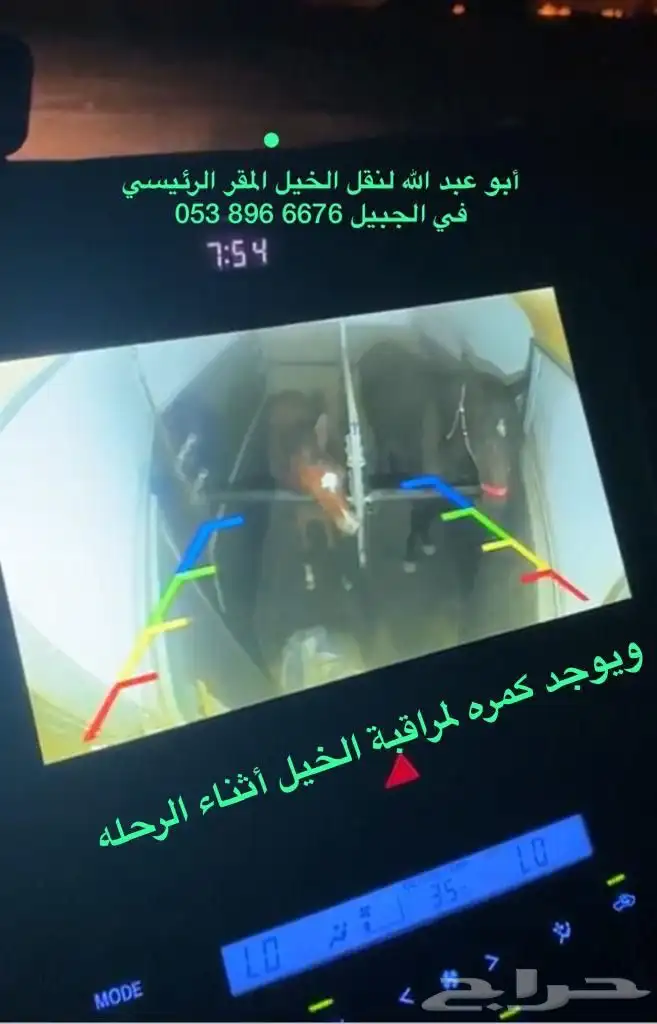 عربة راسين لنقل الخيل الشرقية 3