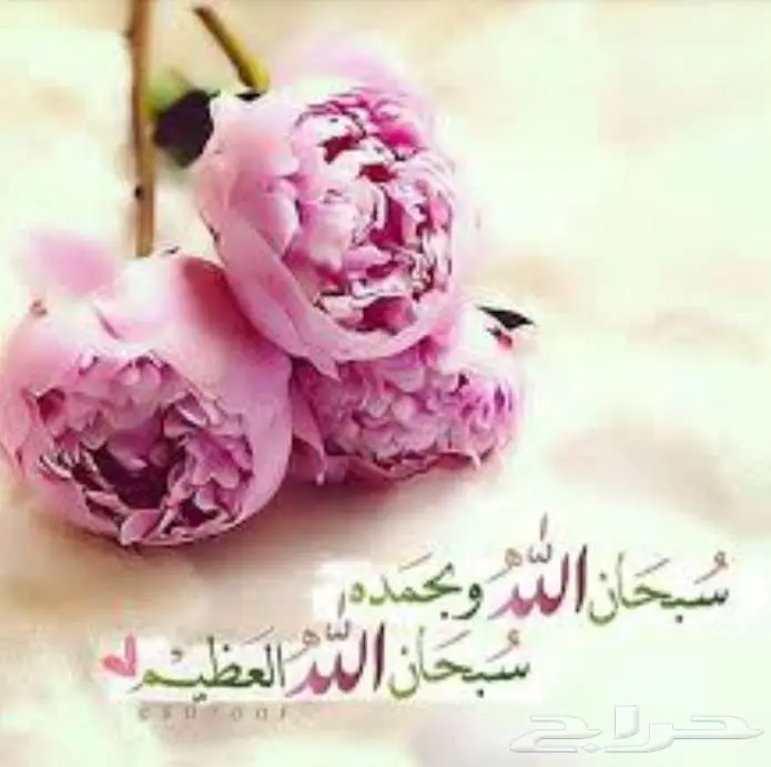 كتابة معاريض وشكوى 0