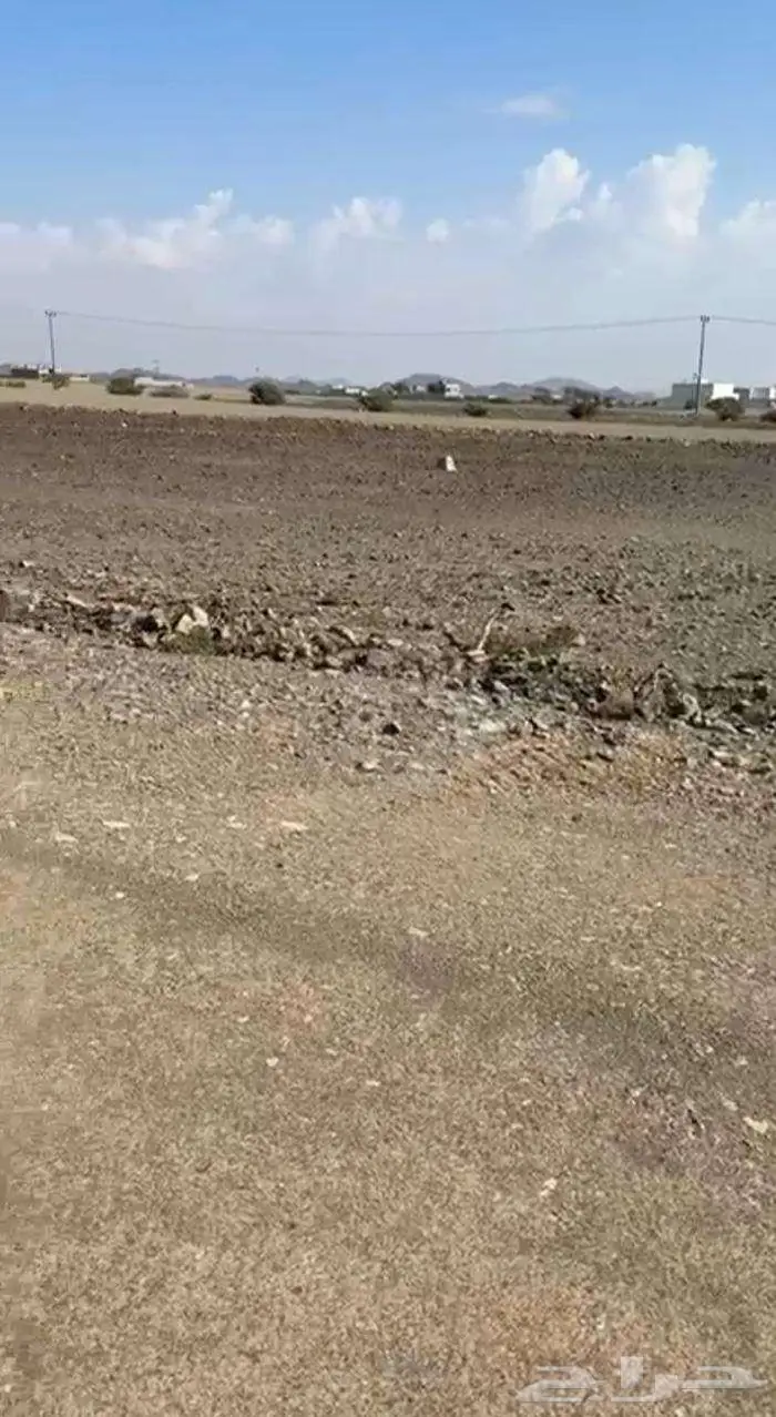 أرض مميزة في المدينة المنورة 0