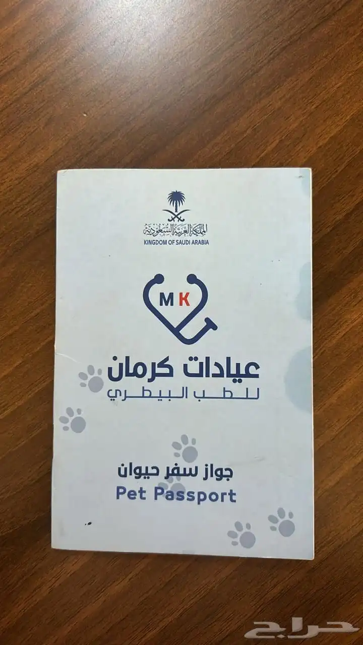 قط سكوتش للبيع 6