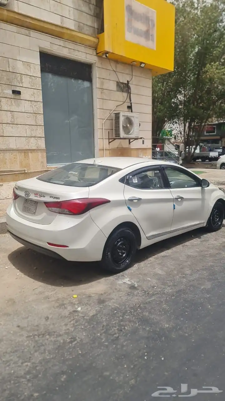 النتراء 2016 2