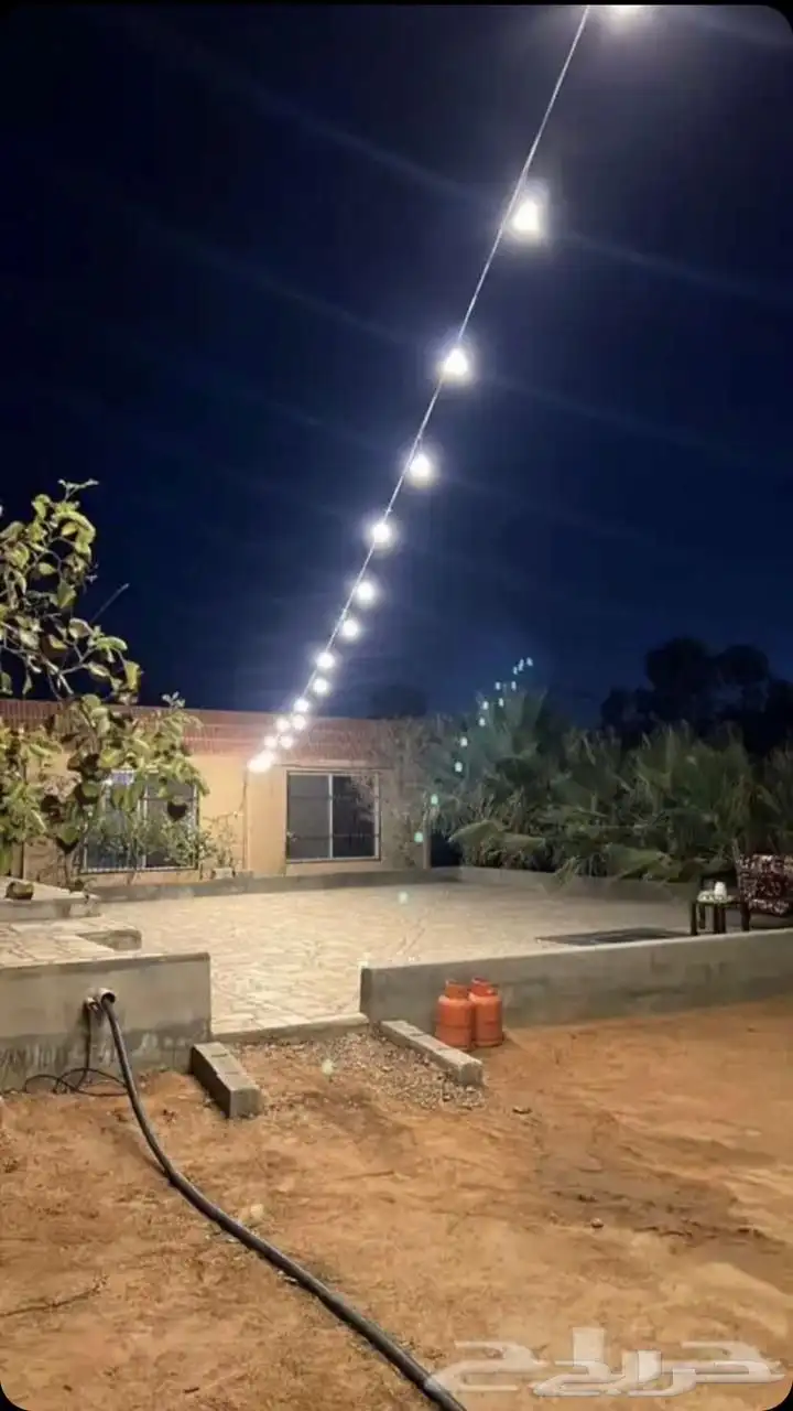 للإيجار اليومي 2