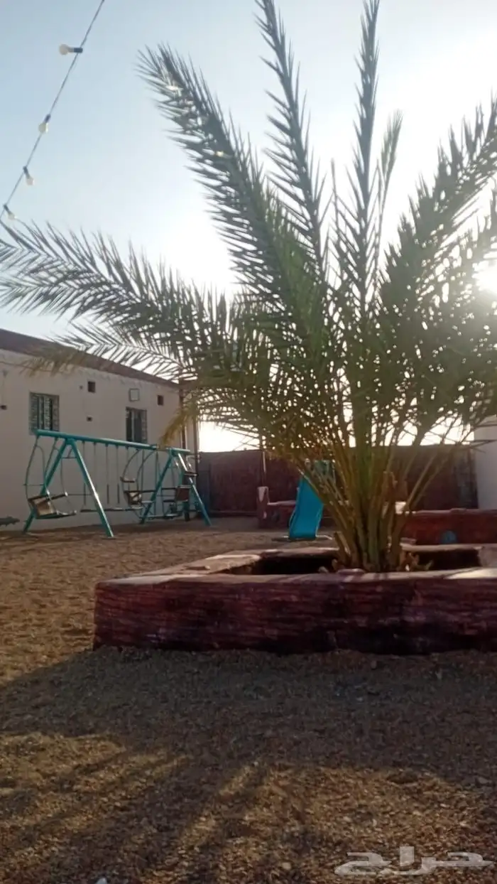 استراحه الجبل للايجار اليومي و الشهري 7