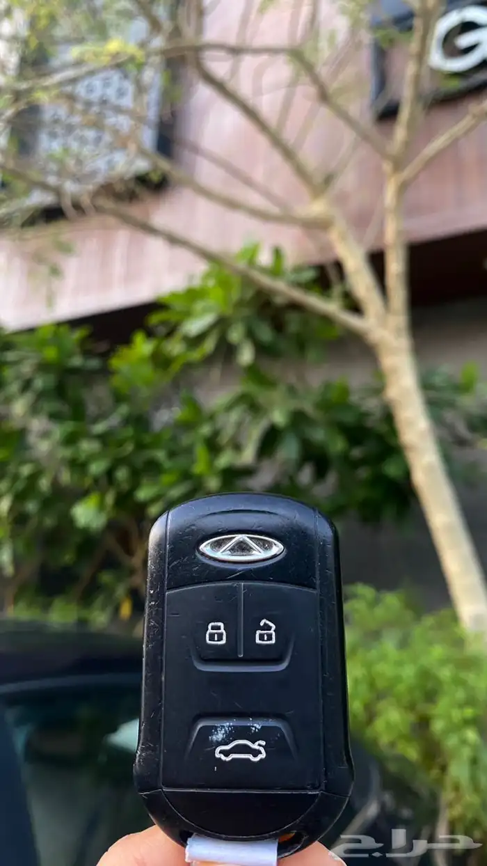 شيري اريزو 6 13