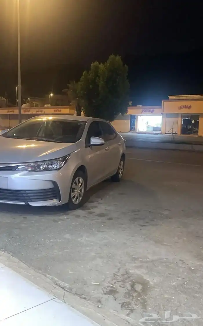 كوريلا 2019 0