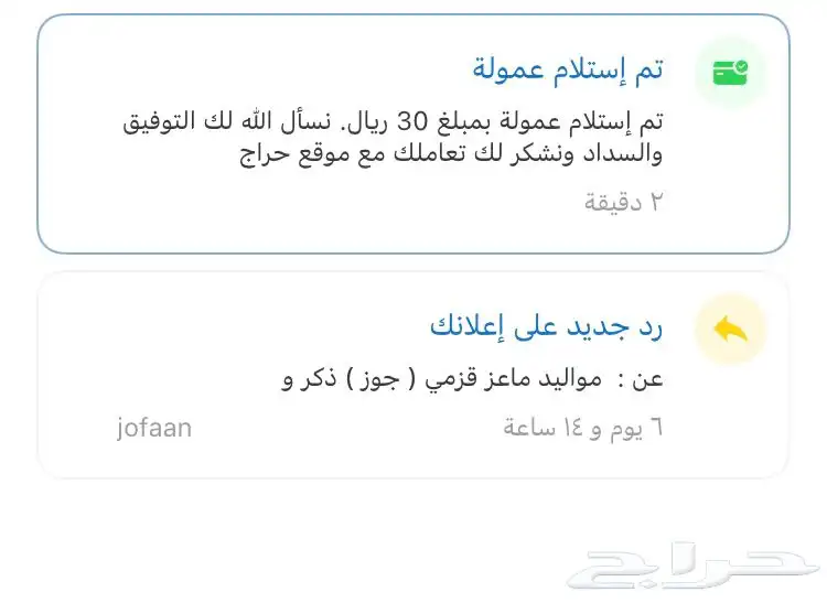 مواليد ماعز قزمي ( جوز ) ذكر وانثى 3