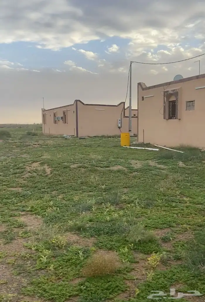 البيع حديد جسور وحديد سطح ودرايش واباب حديد موقع القصيم عكاش 0