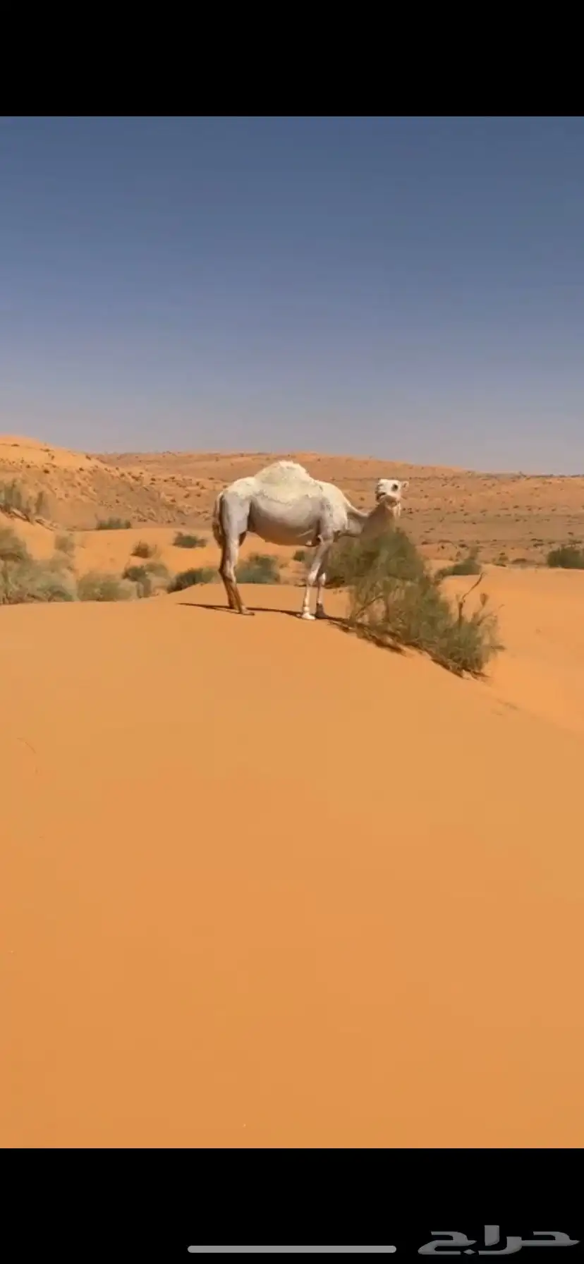 للبيع خلفه 2