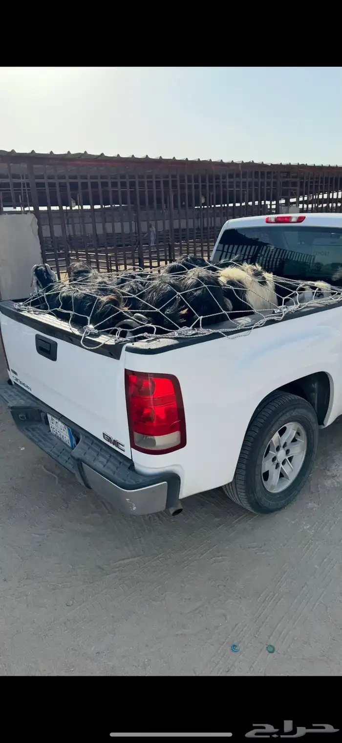 توصيل مشاوير 0