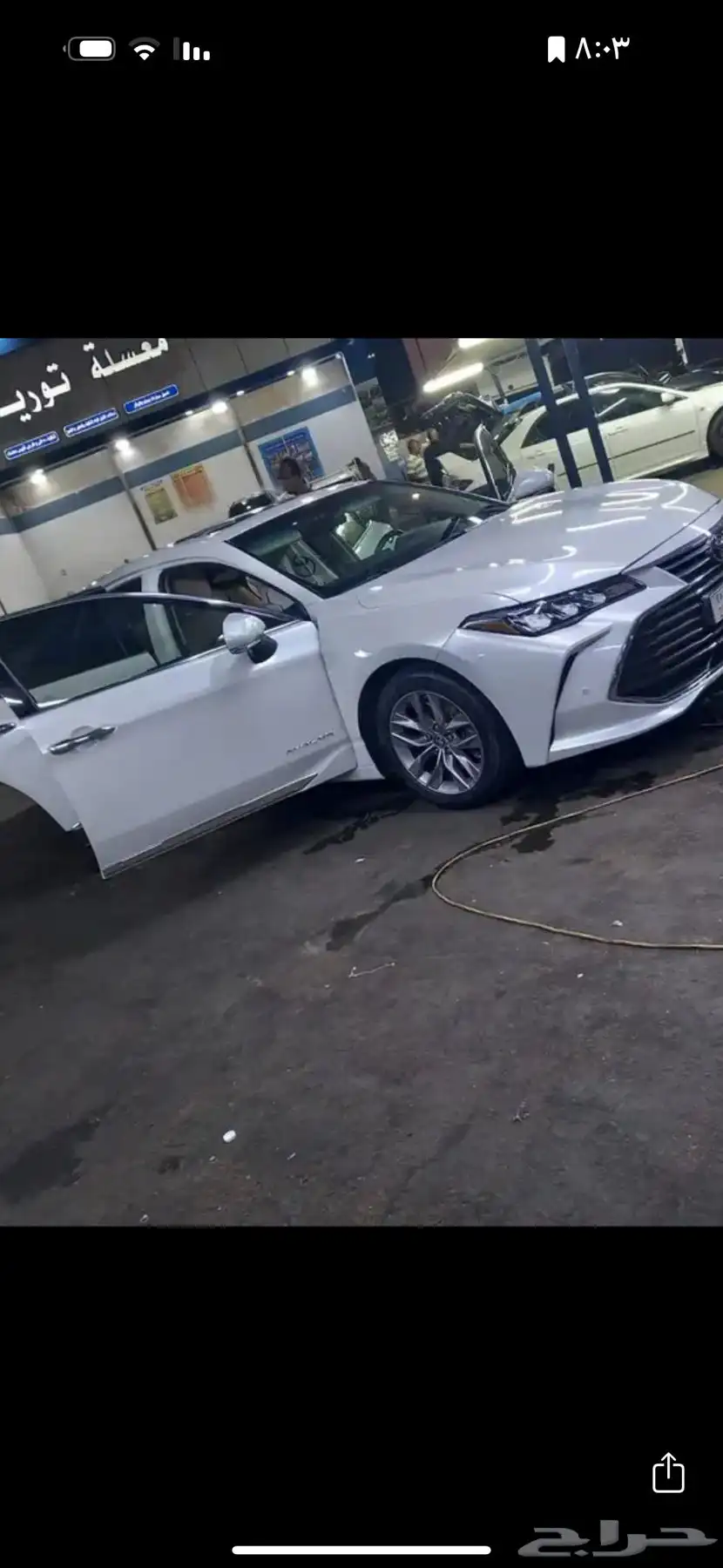 جنوط افالون 2022 1