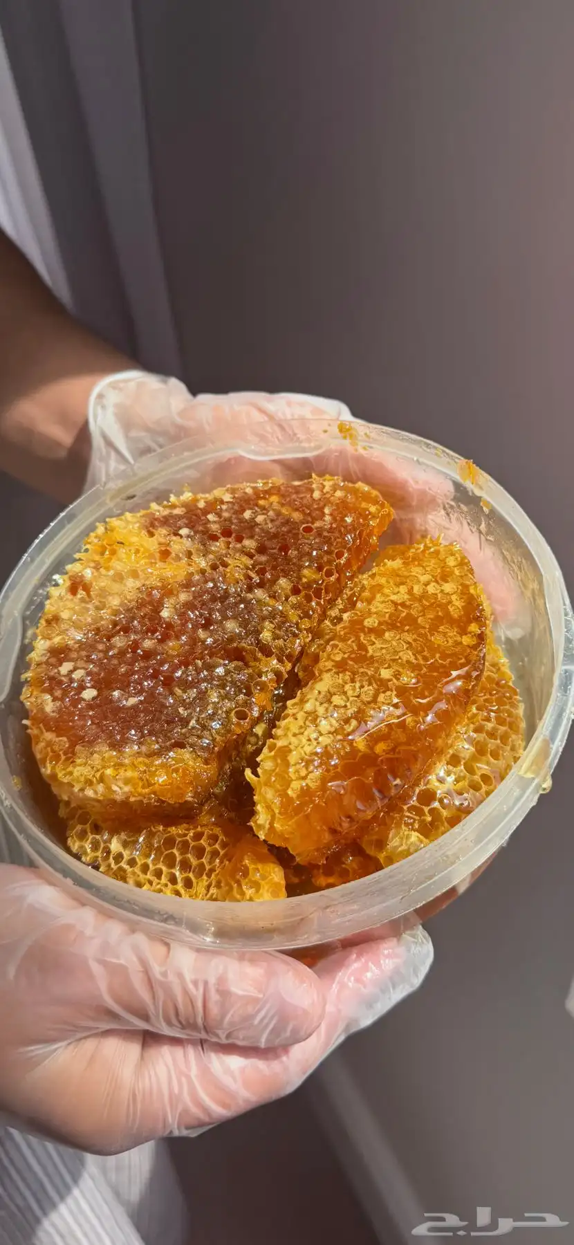 عسل طلح الجنوب 1