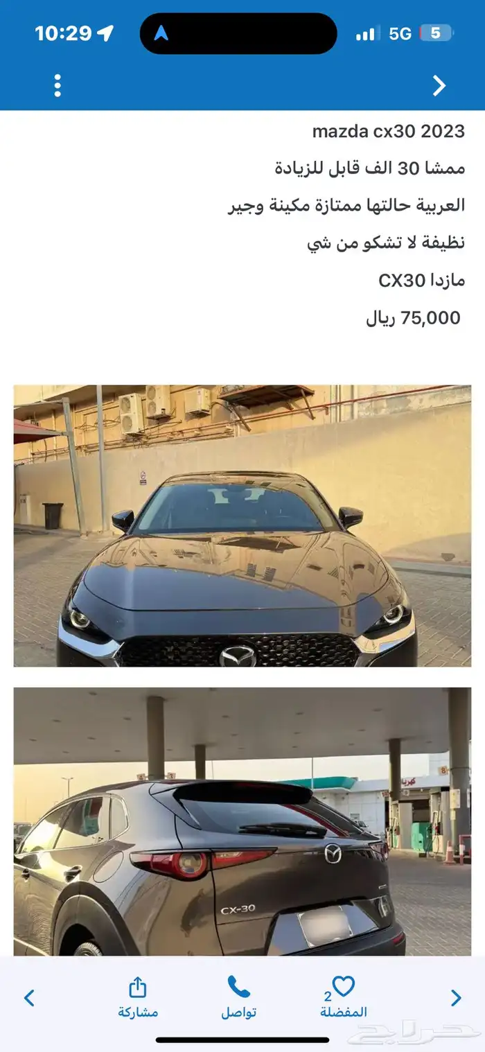 حيوان اليف 1