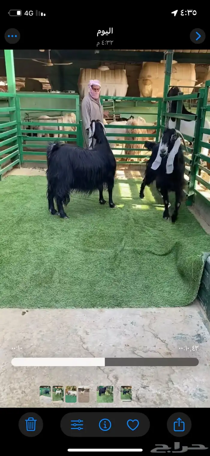 عوارض جروم طيبه 0