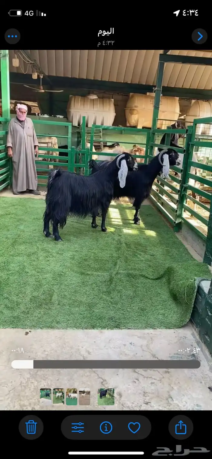 عوارض جروم طيبه 1